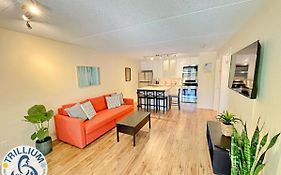 Centrally Located Chic Collingwood Condo